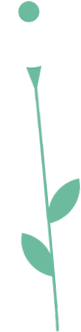 fleur2